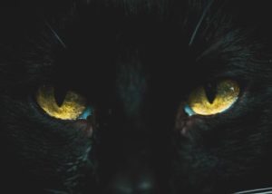 IOTW: BlackCat ransomware strikes Italian university